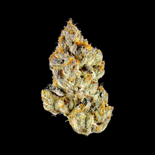 Auraz - Premium Flower | Mountain Girl - 1