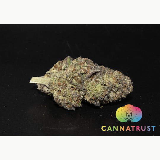 Trusty Transportations - Biscotti Ounce/28.3Grams(26%THC, Indica) - 1