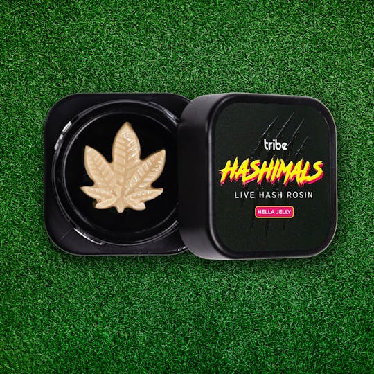 Tribe - Hella Jelly - Hashimals - Live Hash Rosin - Cannabis Leaf - 2g - 1