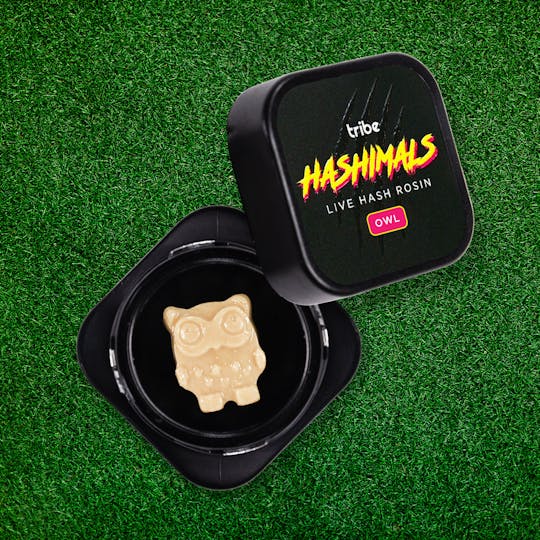 Tribe - Trop Cherries - Hashimals - Live Hash Rosin - Owl - 1g - 1