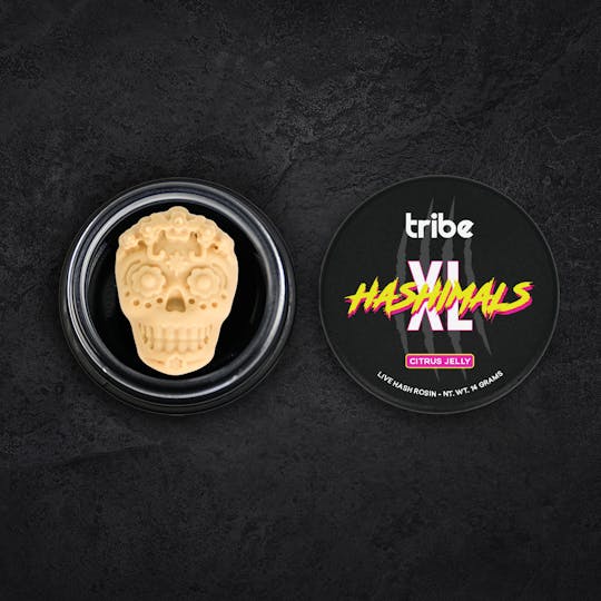 Tribe - Citrus Jelly - XL Hashimals - Live Hash Rosin - Sugar Skull - 14g - 1