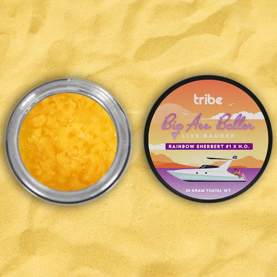Tribe - Rainbow Sherbert #1 x H.O. - Live Badder - 28g - 1