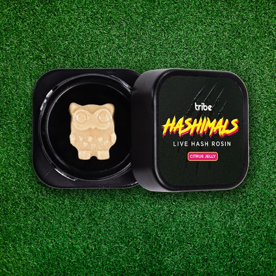 Tribe - Citrus Jelly - Hashimals - Live Hash Rosin - Owl - 1g - 1