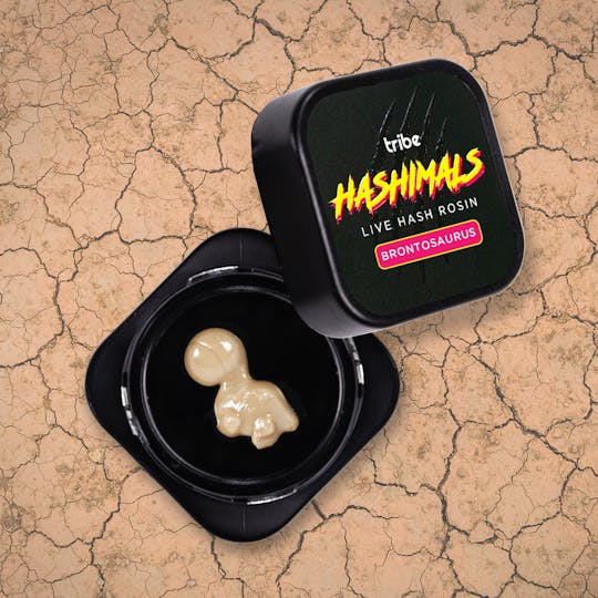 Tribe - Strawberry Cooler - Hashimals - Live Hash Rosin - Brontosaurus - 0.5g - 1