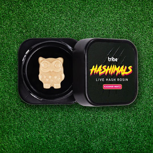 Tribe - Kashmir Mintz - Hashimals - Live Hash Rosin - Owl - 1g - 1