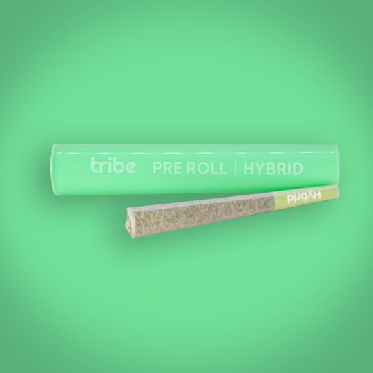 Tribe - Raspberry Cookies - Hybrid - Flower Pre Roll - 1g - 1