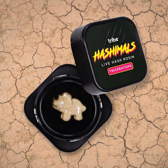 Tribe - Strawberry Cooler - Hashimals - Live Hash Rosin - Triceratops - 0.5g - 1