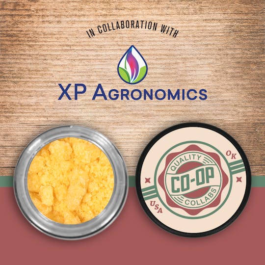 Tribe - CO-OP x XP Agronomics - 10g - Gelato Walker - Crumble - 1