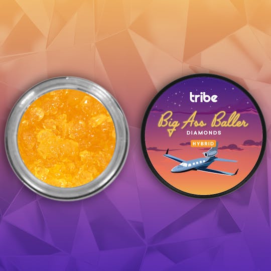 Tribe - Mountain Top Pine - Diamonds and Terps - Baller - 7g - 1