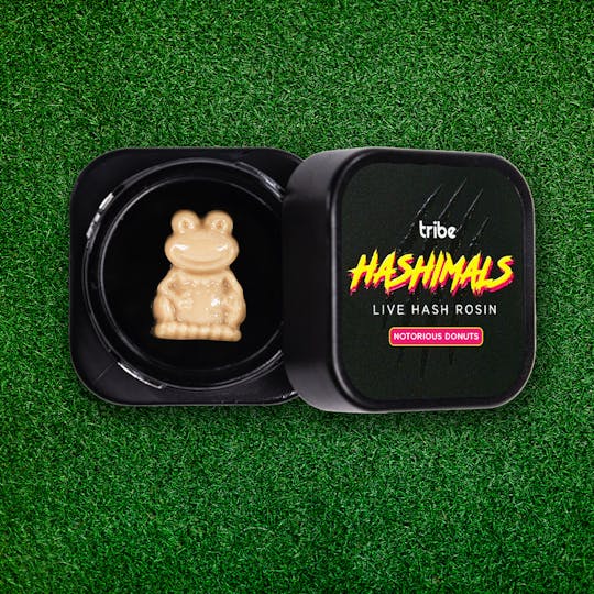 Tribe - Notorious Donuts - Hashimals - Live Hash Rosin - Frog - 1g - 1