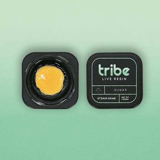 Tribe - Burpeez Melonade - Live Sugar - 1g - 1