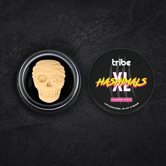 Tribe - Kashmir Mintz - XL Hashimals - Live Hash Rosin - Pirate Skull - 14g - 1