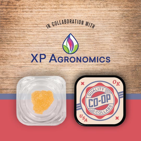 Tribe - CO-OP x XP Agronomics - 2g - Lemon Meringue - Sugar - 1