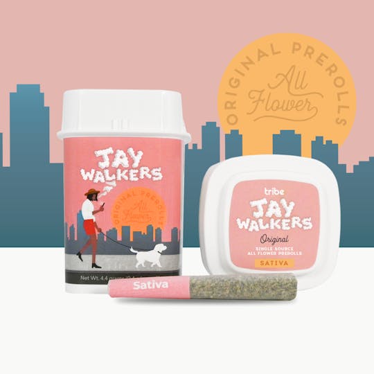 Tribe - Jaywalkers Original - Sativa - High Hill - 20 pack - Flower Pre Rolls - 8g - 1
