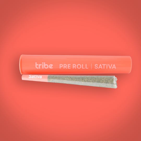 Tribe - Lemon Slice - Sativa - Flower Pre Roll - 1g - 1