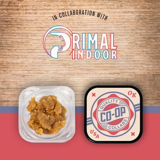 Tribe - CO-OP x Primal Indoor - 4g - Han Solo Kush - Sugar - 1