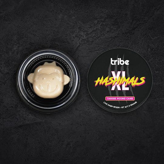 Tribe - Tangie Pound Cake - XL Hashimals - Live Hash Rosin - Monkey - 5g - 1