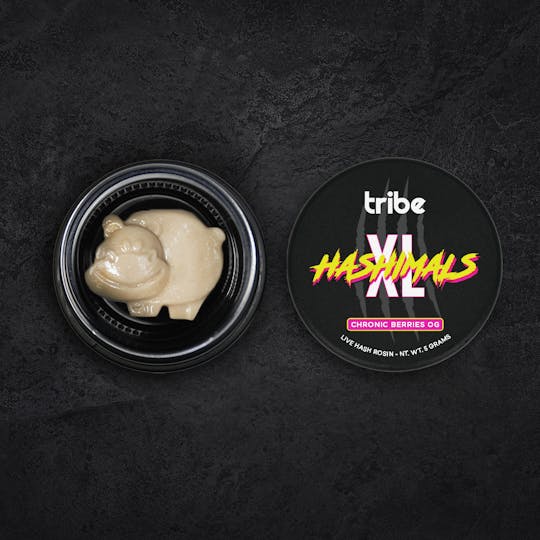 Tribe - Chronic Berries OG - XL Hashimals - Live Hash Rosin - Hippo - 5g - 1