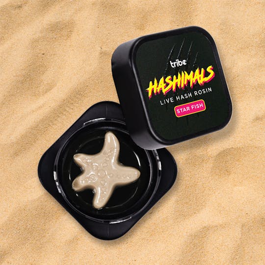 Tribe - Kashmir Mintz - Hashimals - Live Hash Rosin - Starfish - 2g - 1
