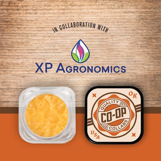 Tribe - CO-OP x XP Agronomics - 4g - Wedding Crasher - Badder - 1
