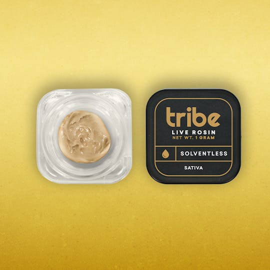 Tribe - Tropsanto - Live Hash Rosin - 1g - 1