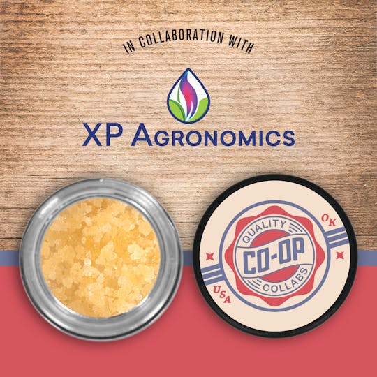 Tribe - CO-OP x XP Agronomics - 10g - Lemon Meringue - Sugar - 1