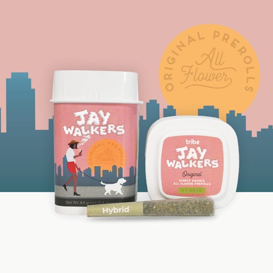 Tribe - Jaywalkers Original - Hybrid - Apple Haze - 20 pack - Flower PreRolls - 8g - 1