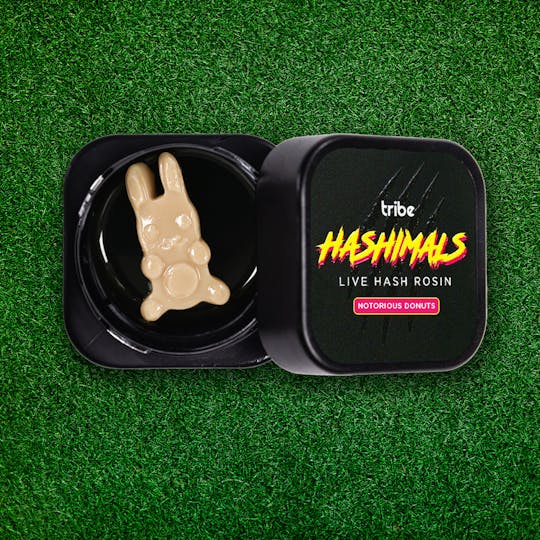 Tribe - Notorious Donuts - Hashimals - Live Hash Rosin - Bunny - 1g - 1