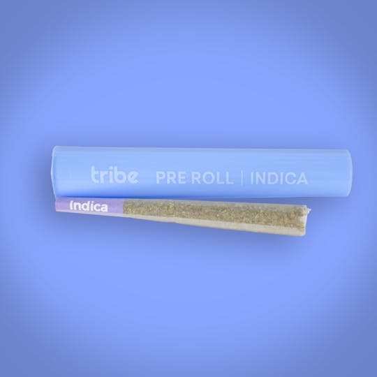Tribe - Watermelon Mimosa - Indica - Flower Pre Roll - 1g - 1