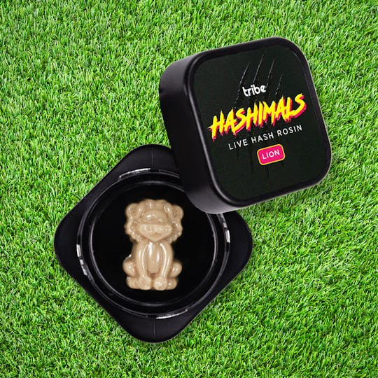 Tribe - Citrus Sand - Hashimals - Live Hash Rosin - Lion - 1.5g - 1