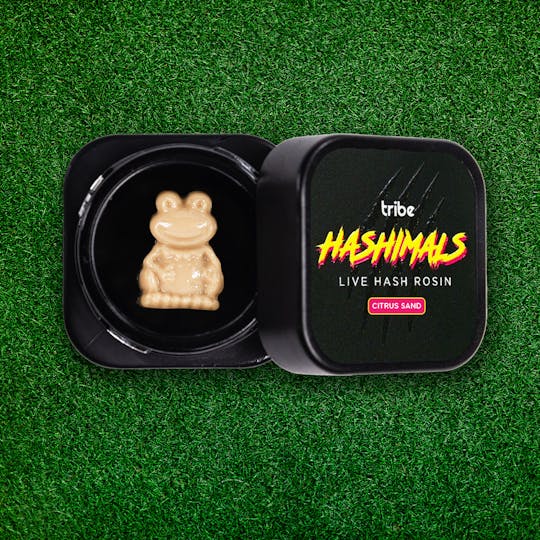 Tribe - Citrus Sand - Hashimals - Live Hash Rosin - Frog - 1g - 1