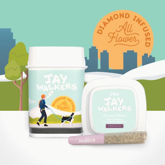 Tribe - Jaywalkers Diamond Infused Pre Rolls- Banana Dog - 11 pack - 4.95g - 1