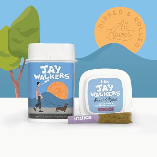 Tribe - Jaywalkers Dipped and Rolled - Sour Trop Mintz - 11 Infused Pre Rolls- 5.5g - 1