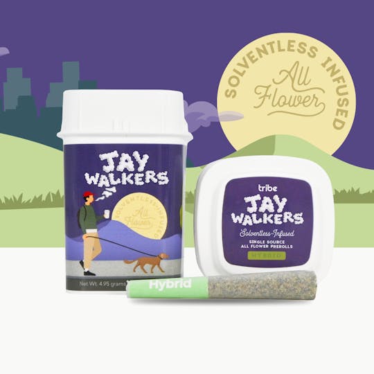 Tribe - Jaywalkers Solventless Infused -White Truffle - 11 Infused Pre Rolls- 4.95g - 1