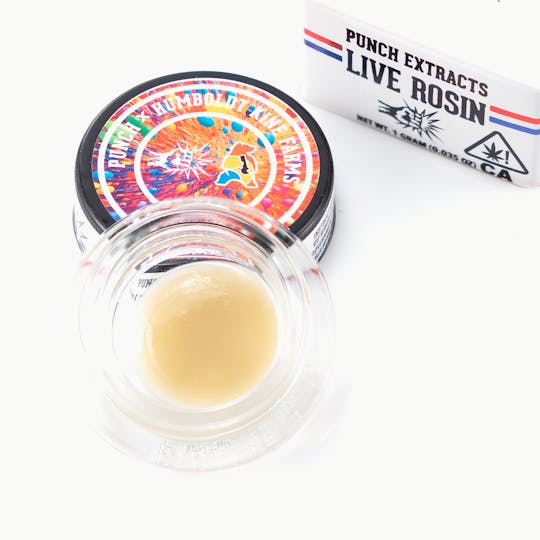 Punch Edibles & Extracts - Z Tier 1 Live Rosin Fresh Press (1g) - 1