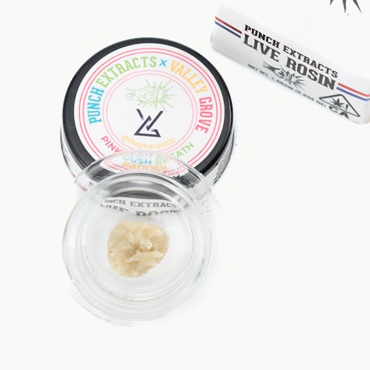 Punch Edibles & Extracts - Pink Gush Breath Tier 3 Live Rosin Cold Cure Badder (1g) - 1