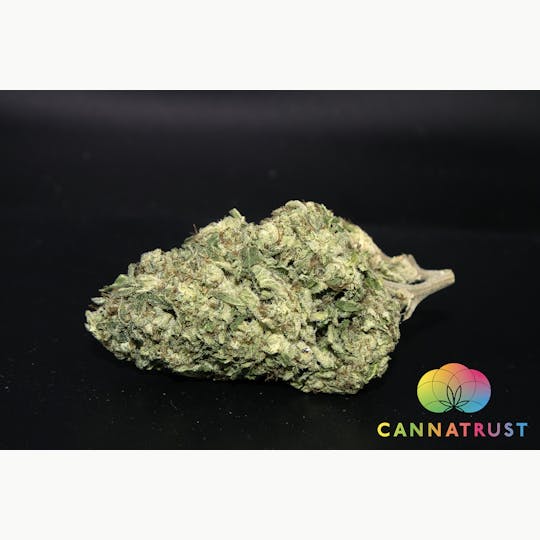 Trusty Transportations - GG4 Ounce/28.3Grams(25%THC, Indica) - 1