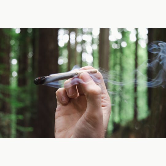 Trusty Transportations - Bubblegum Grape Drink Pre-roll/1Gram(23%THC, Indica) - 1