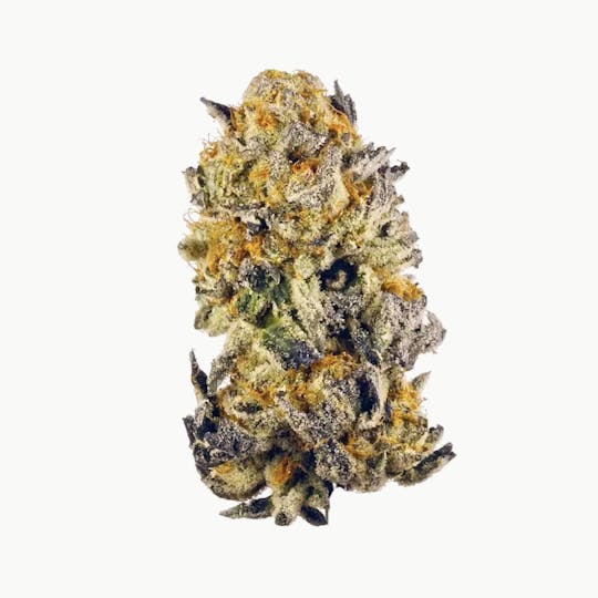 Evidence - Evidence™️ 1/2 oz bag - Cherry Punch - 1