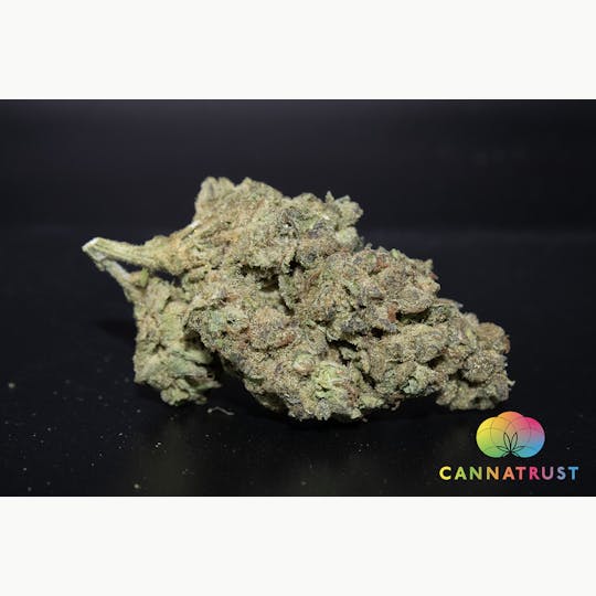 Trusty Transportations - Sour Punch 1/2 Ounce/14Grams(31%THC, Sativa) - 1