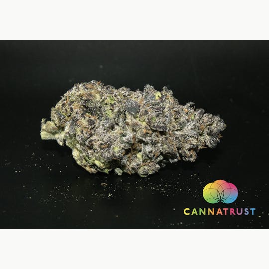 Trusty Transportations - Hash Burger 1/2 Ounce/14Grams(35%THC, Indica) - 1