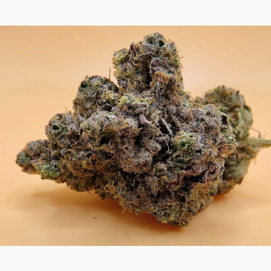 LA Native - Hood Candiz - INDOOR TOP SHELF BIG BUDS - 1