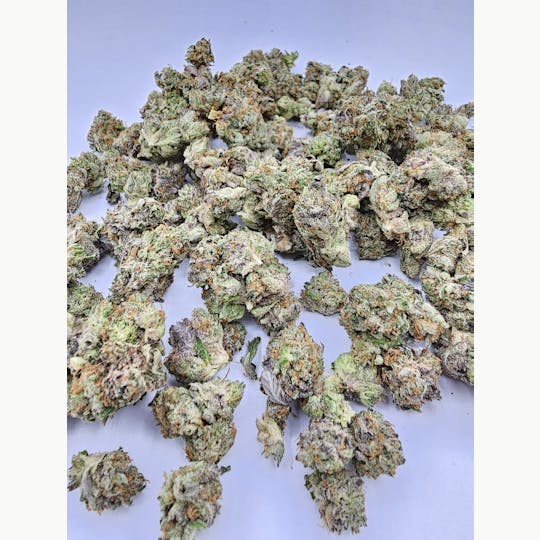 LA Native - Sherbanger 41 - Indoor Mids - 1