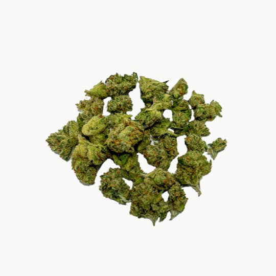 LA Native - Sunset Strip - Indoor Smalls - 1
