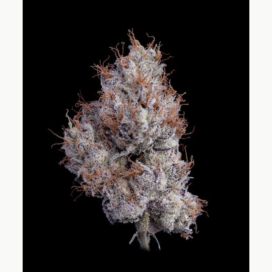 Auraz - Premium Flower | Blue Zushi | Small Buds - 1