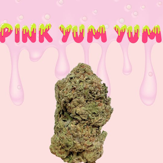 SUPPLY LA - Pink Yum Yum | Premium Flower | 7g | Quarter - 1