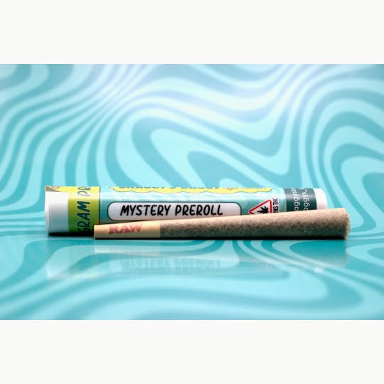 Shaggy's Baggy - Mystery Preroll - Shaggy's Baggy - 1