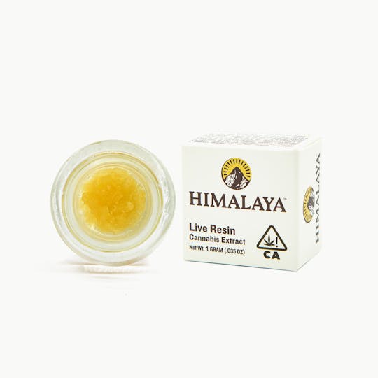HIMALAYA - Orange Elixir - Terp Sugar Concentrate - 1G - 1