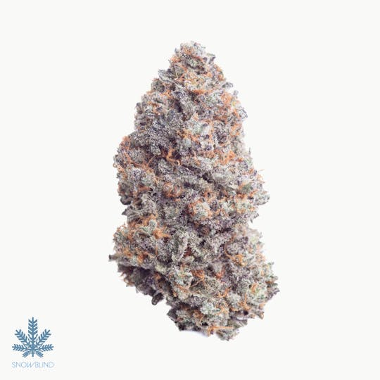Snowblind Cannabis - Orange Apricot x MAC - 1