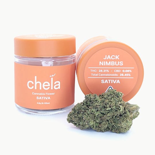 Chela - Chela - Light - Jack Nimbus - 1